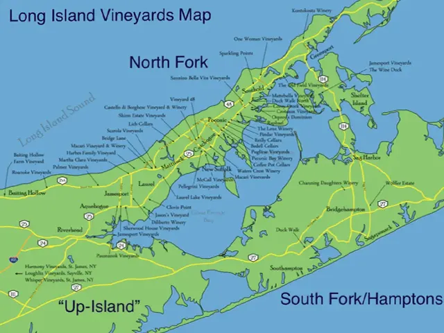 What is the Long Island Wine Trail?