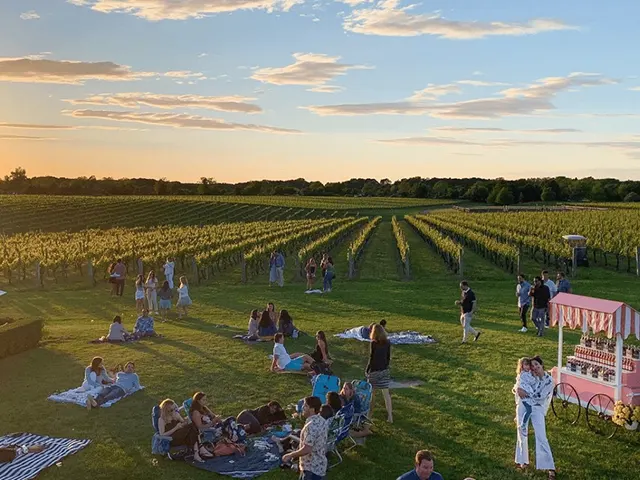 Why Visit Long Island’s Wineries? 4 Reasons