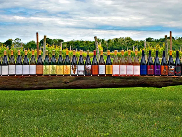 What Types of Wines Do Long Island Wineries Produce?